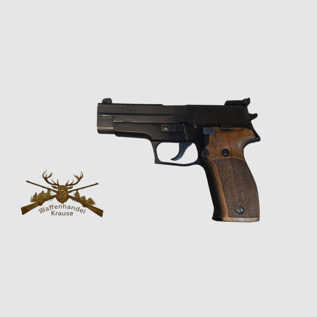 Sig Sauer P226
