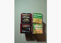 Lotto .17 HMR – 128 colpi Remington AccuTip-V & Winchester Varmint HV