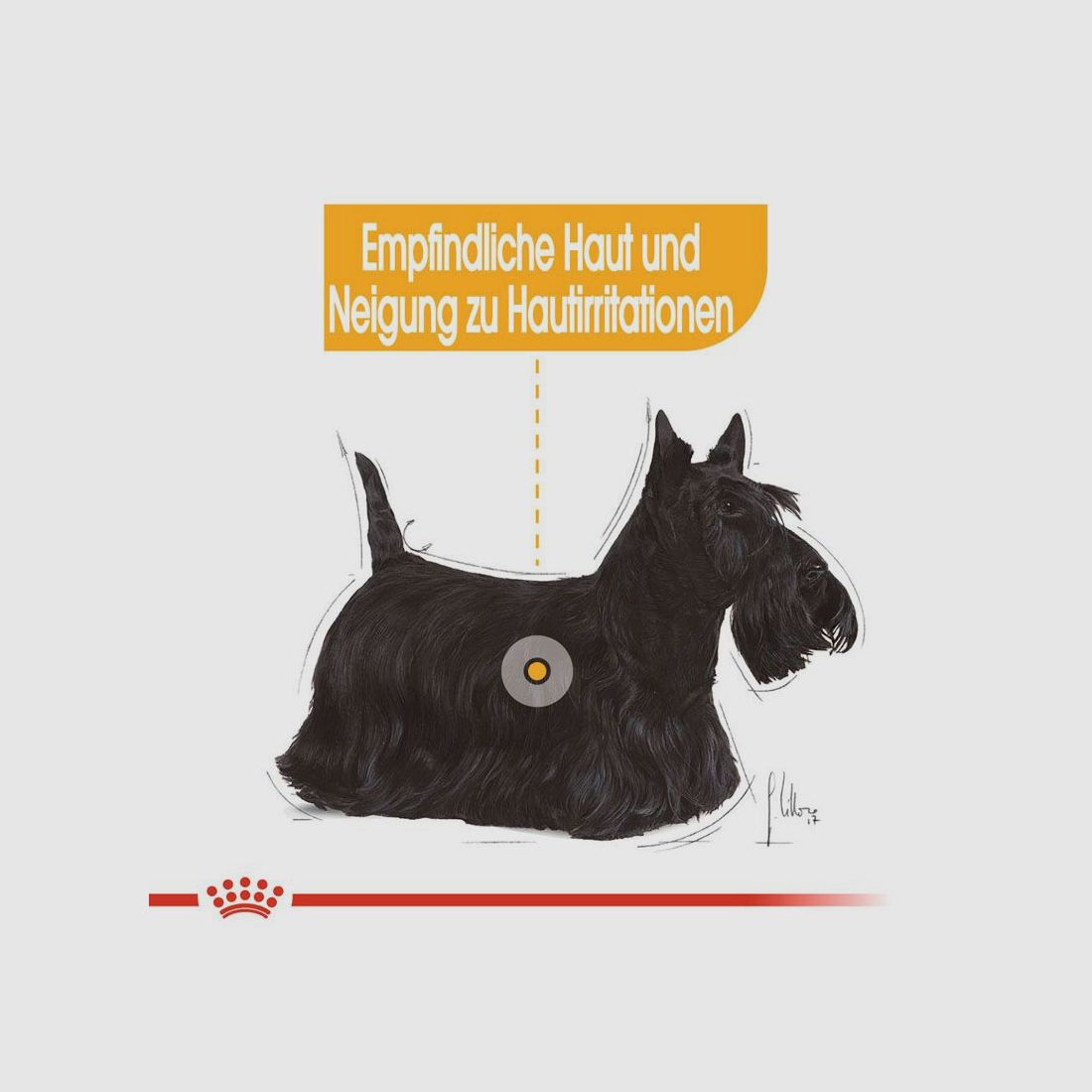 ROYAL CANIN Nassfutter Dermacomfort für empfindliche Haut 12x85 g