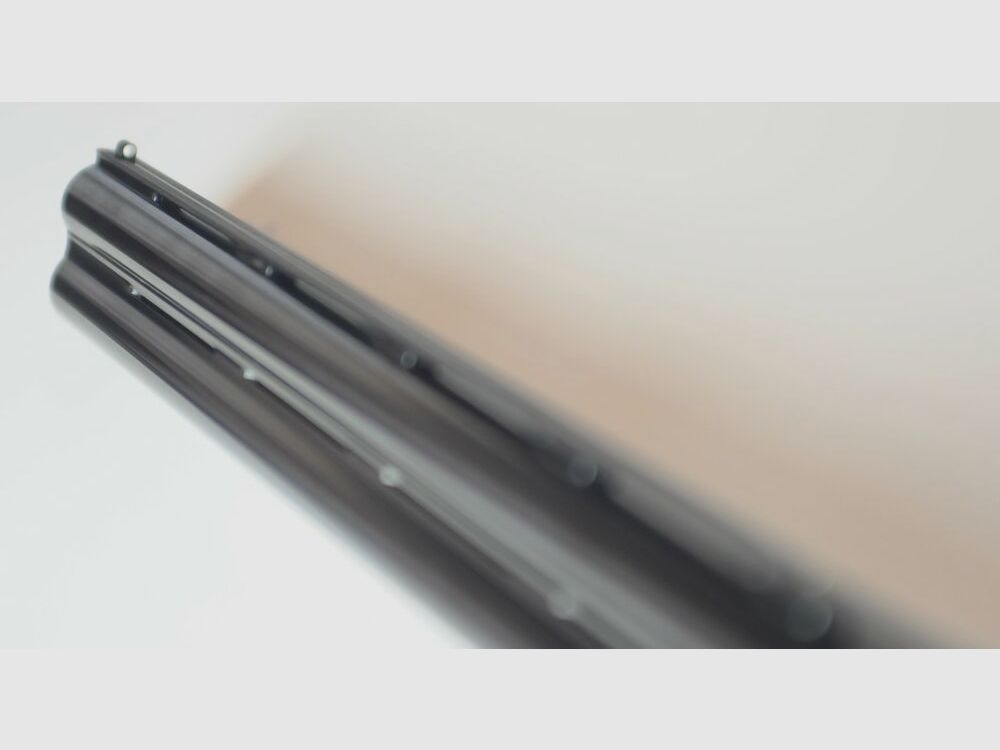 Guerini Temper Sporting