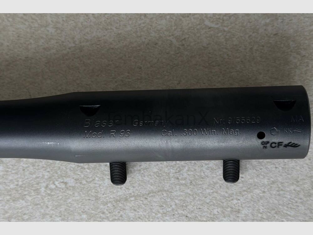Canon Blaser R93 avec filetage et tête de verrou .300WinMag