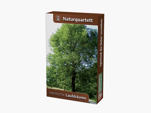 Naturquartett „Heimische Laubbäume“