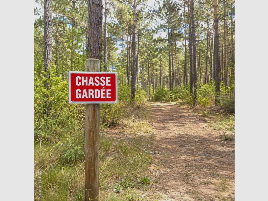 Panneau Chasse gardée alu 30 × 20 cm, image 10 sur 12
