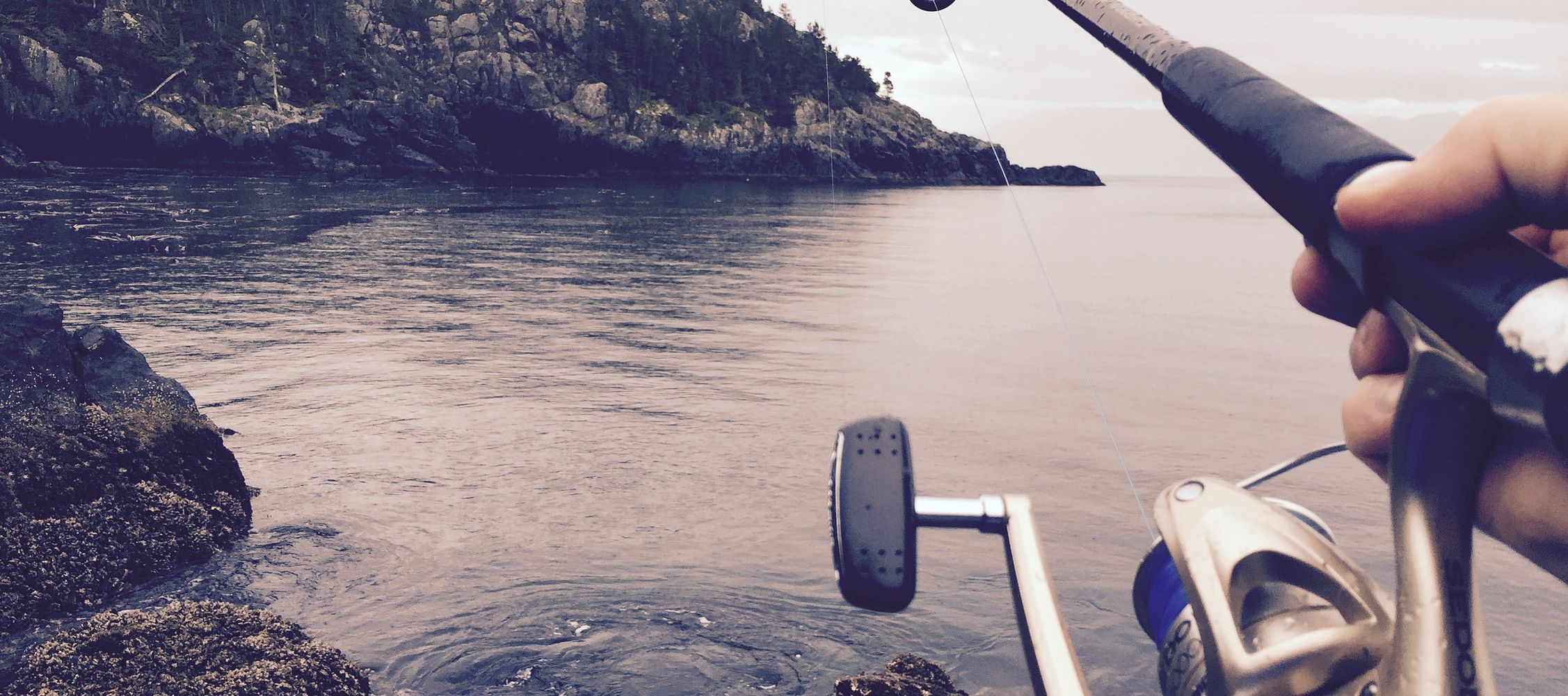 The Best Fishing Waters for Trout: A Paradise for Beginners