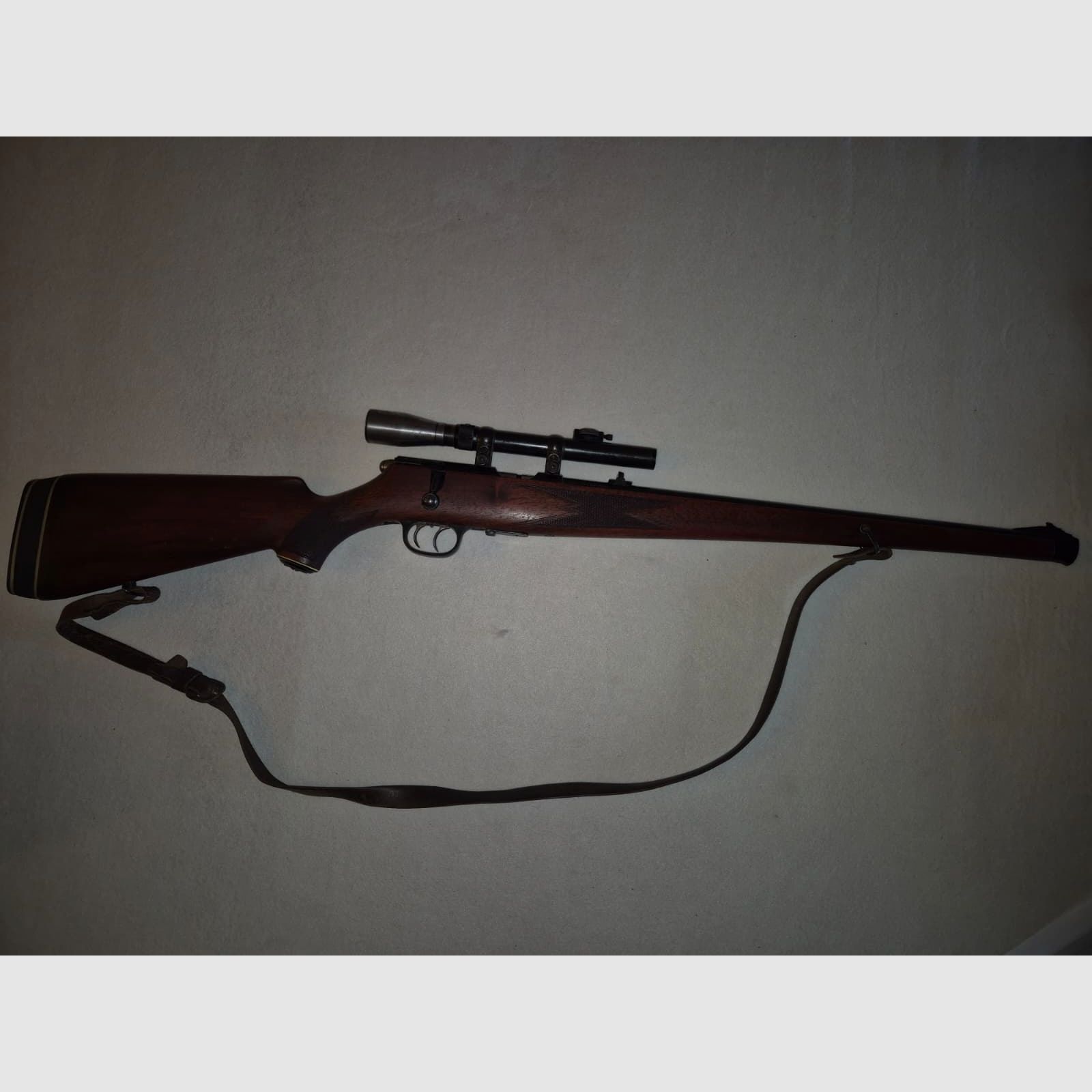 small caliber rifle