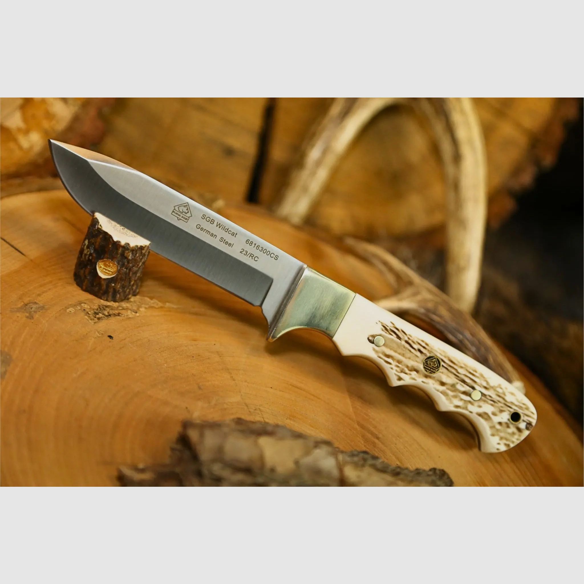 Puma SGB wildcat, commando stag