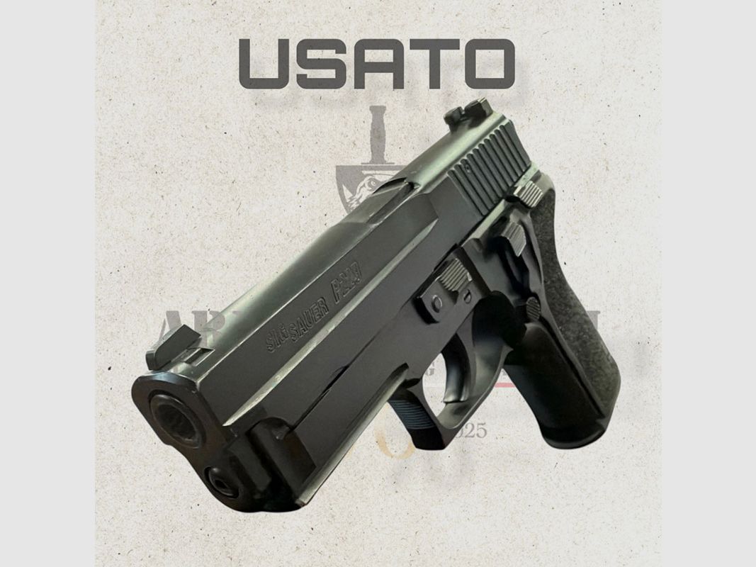 UTILISÉ – PISTOLE – SIG SAUER SEMIAUTO P229 3,9" 9×21, image 3 sur 4
