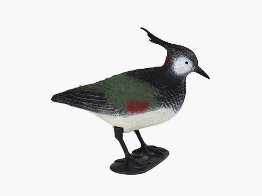 Forme de vanneau huppe Stepland
