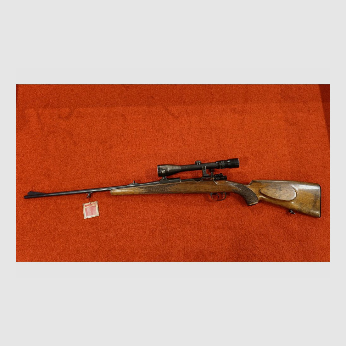 Forest Favorite without 7x64