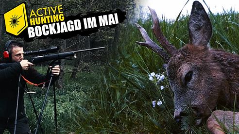 Bockjagd 2023 - Auf Ansitz und Pirschjagd mit Active Hunting