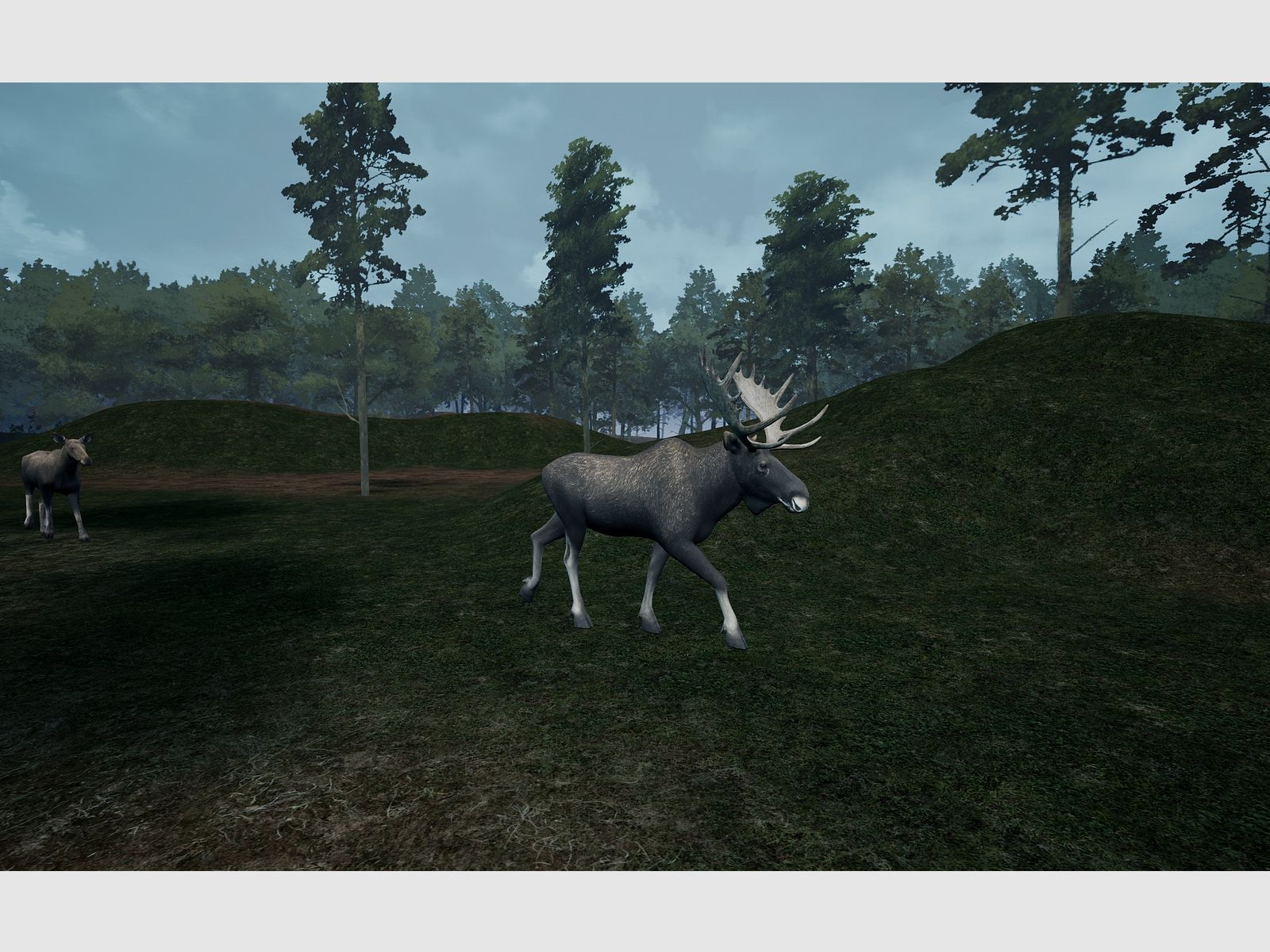 GAIM HUNTING simulateur de tir, image 11 sur 13