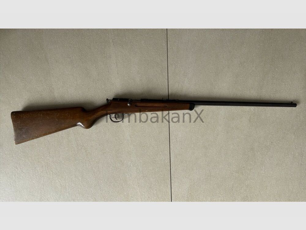 Anschütz .22lr