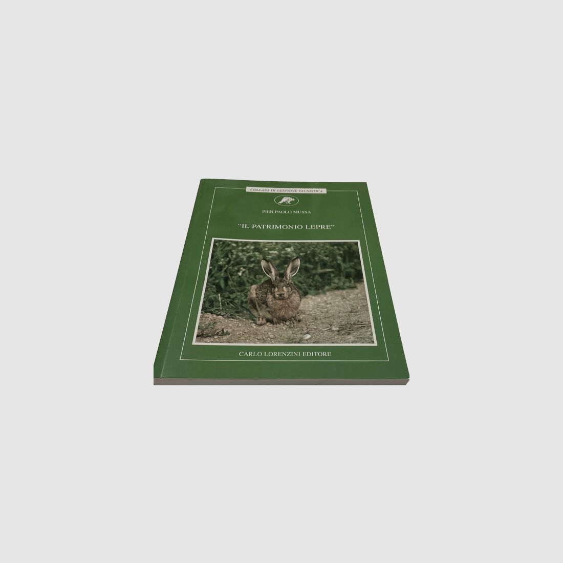 CARLO LORENZINI EDITORE – BOEK "DE HAASERFENIS", afbeelding 1 van 2