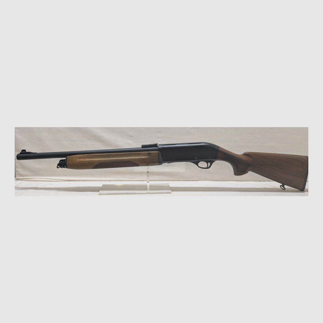 Luger 2005