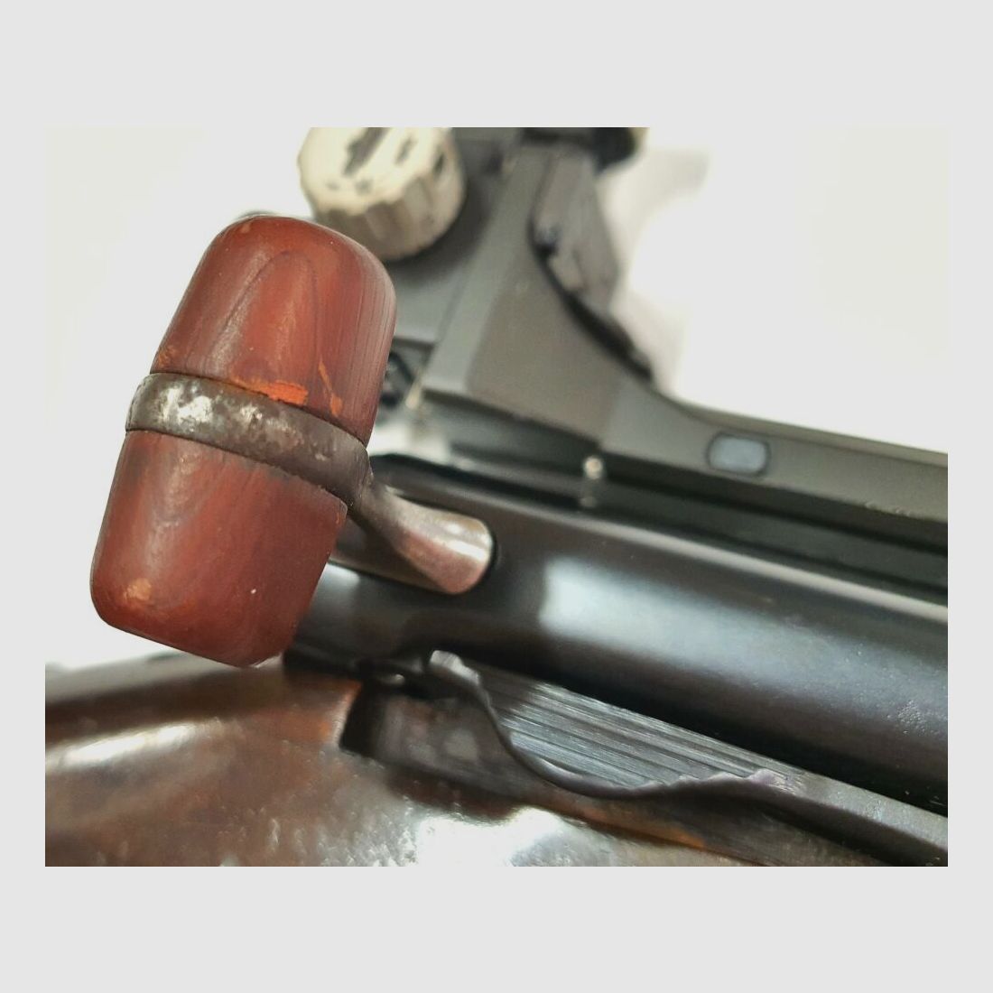 Fabryka broni w Bernie Szwajcarska karabinek G1911 z diopterem i muszką