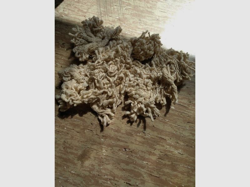 Konvolut Reinigungsdochte