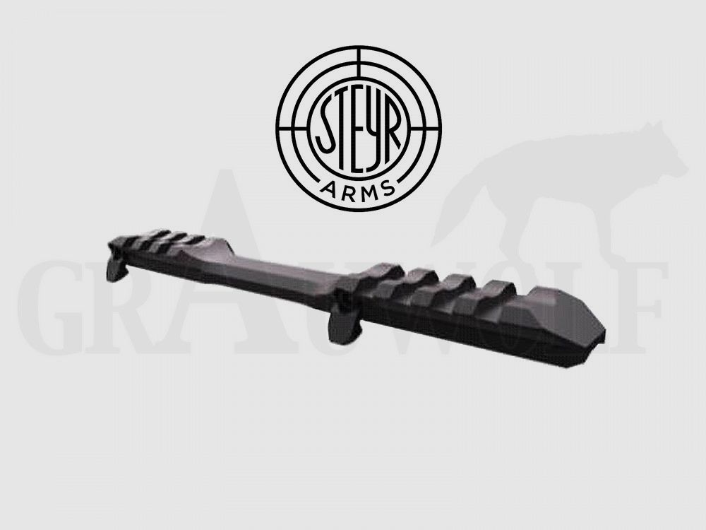 Steyr Arms Picatinny Rail for Monobloc