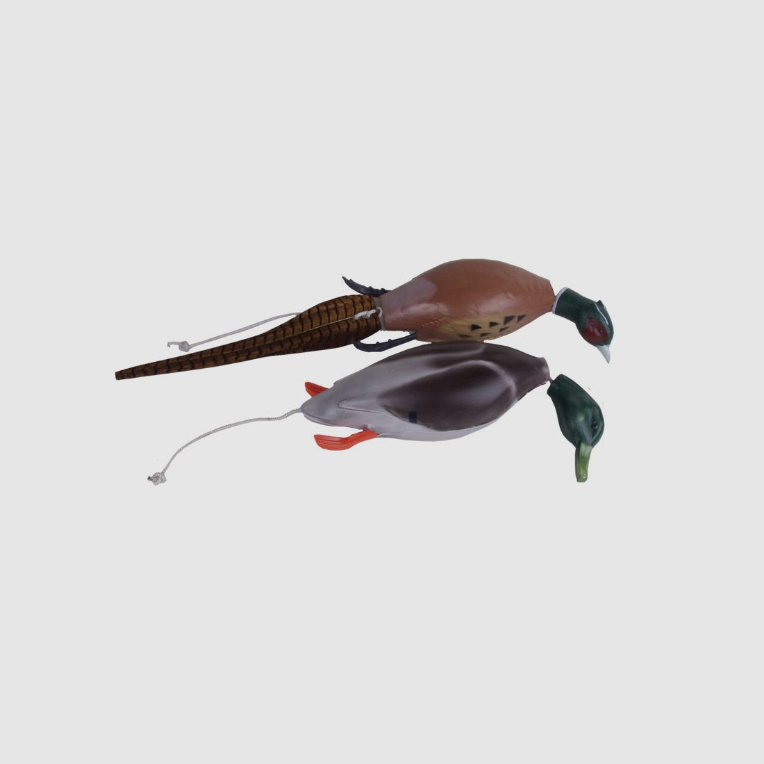 Dokkens Dead Fowl Apportierdummy, Fasan