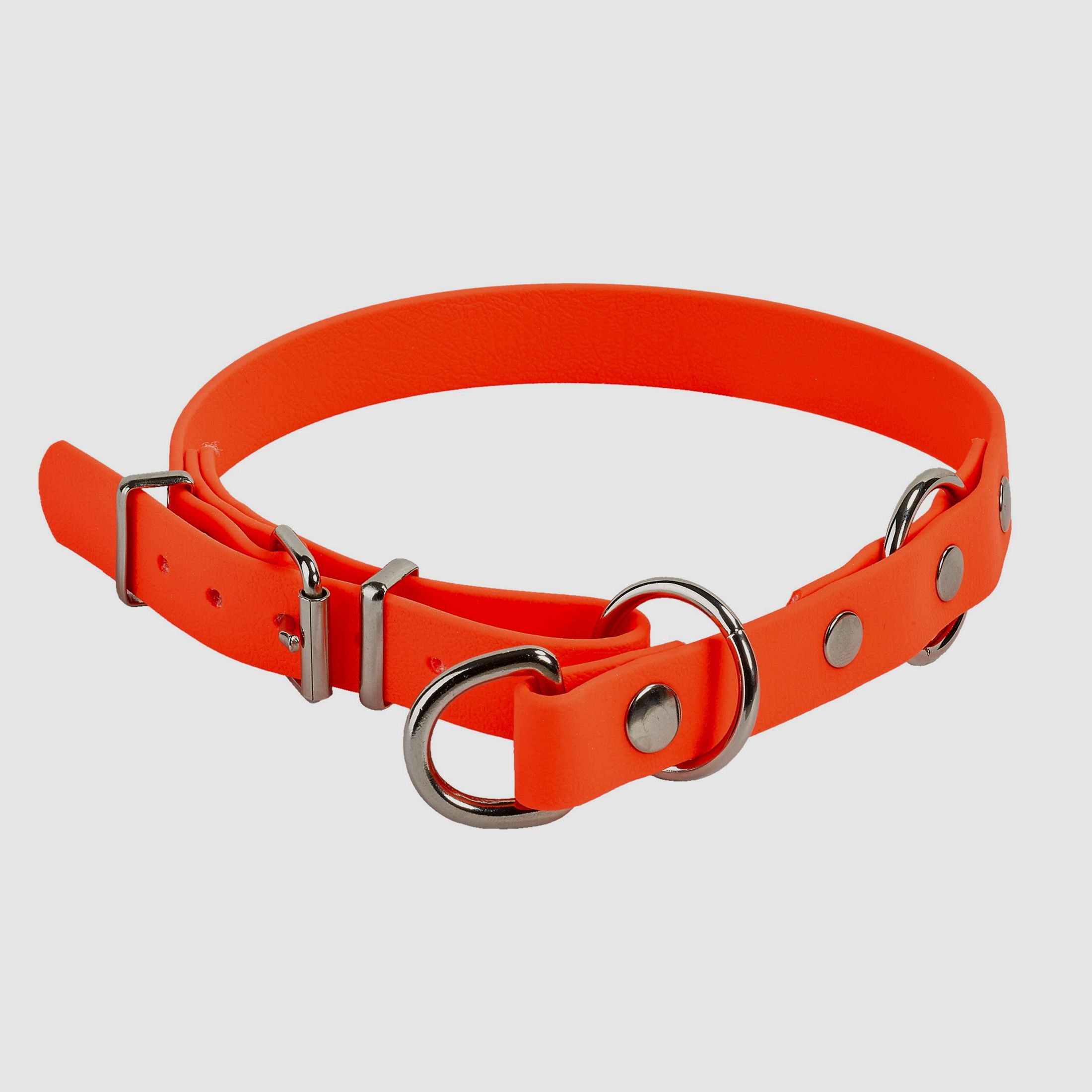 Biothane pull leash with limit
