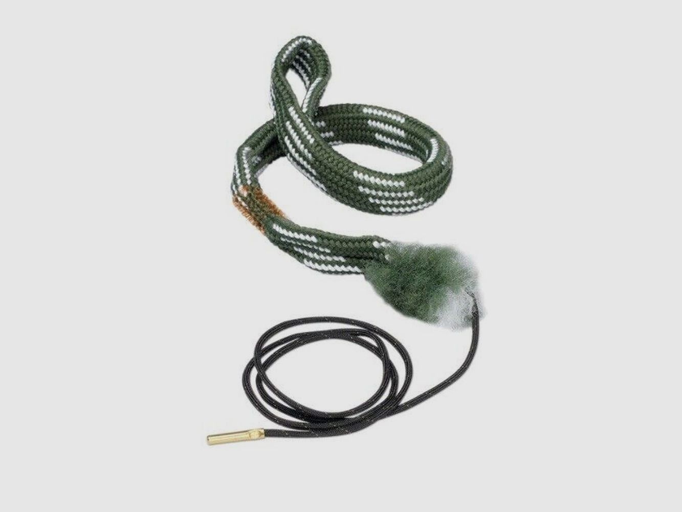 Hoppe's Boresnake