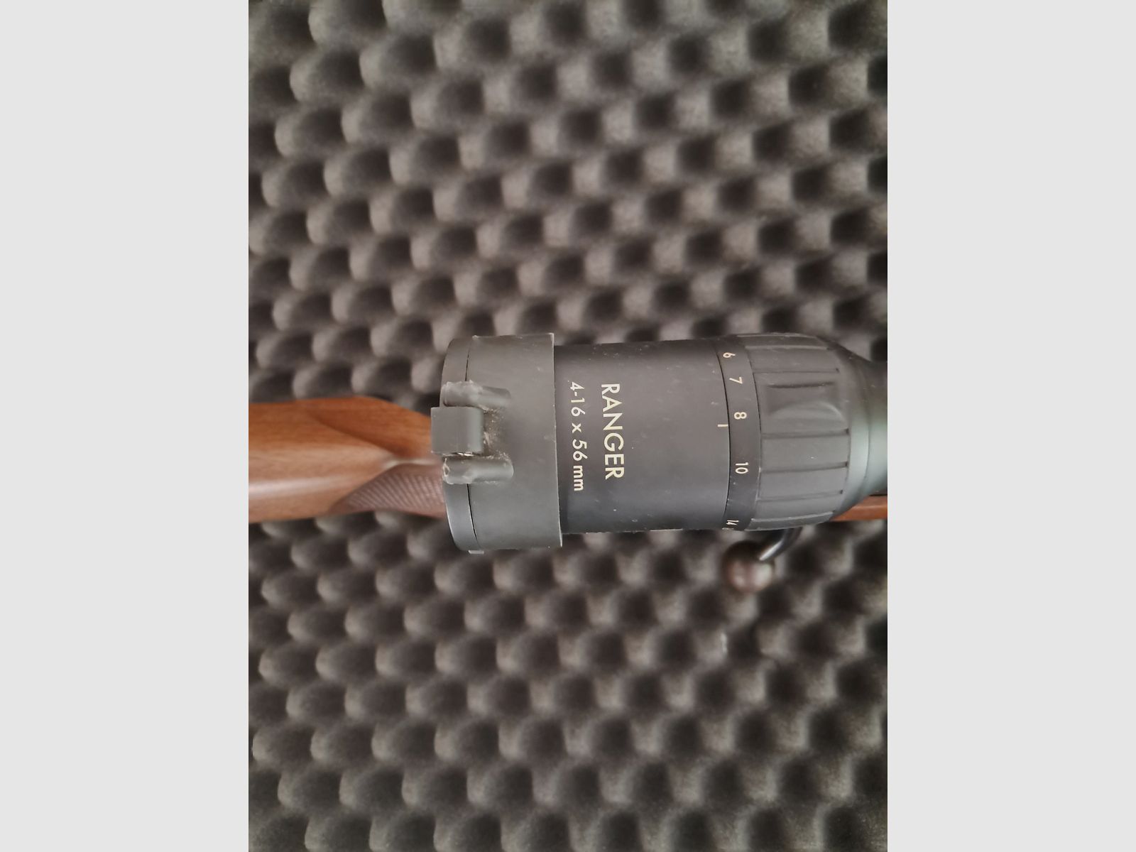 CZ 557 Luxus .308 Win mit Dentler Montage und Steiner Ranger 4-16 *56 (Repetierbüchse, Jagdrepetierer, Repetierer)