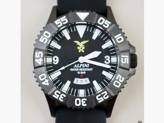 Montre Mécanique Brute modèle Alpini Combat QN Drive