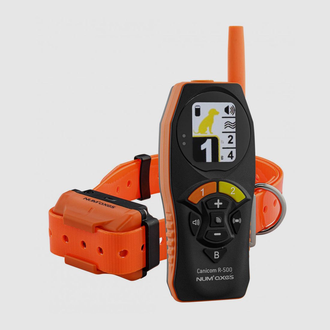 Fernbedienung und Trainingshalsbänder Canicom R-500, Bild 1 von 10