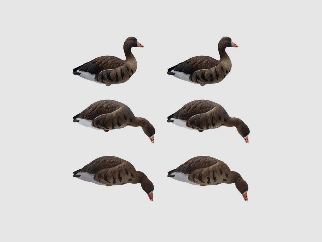 6-PIECE SET OF FIELD STAMPS GOOSE LOMBARDELLA, image 2 of 3