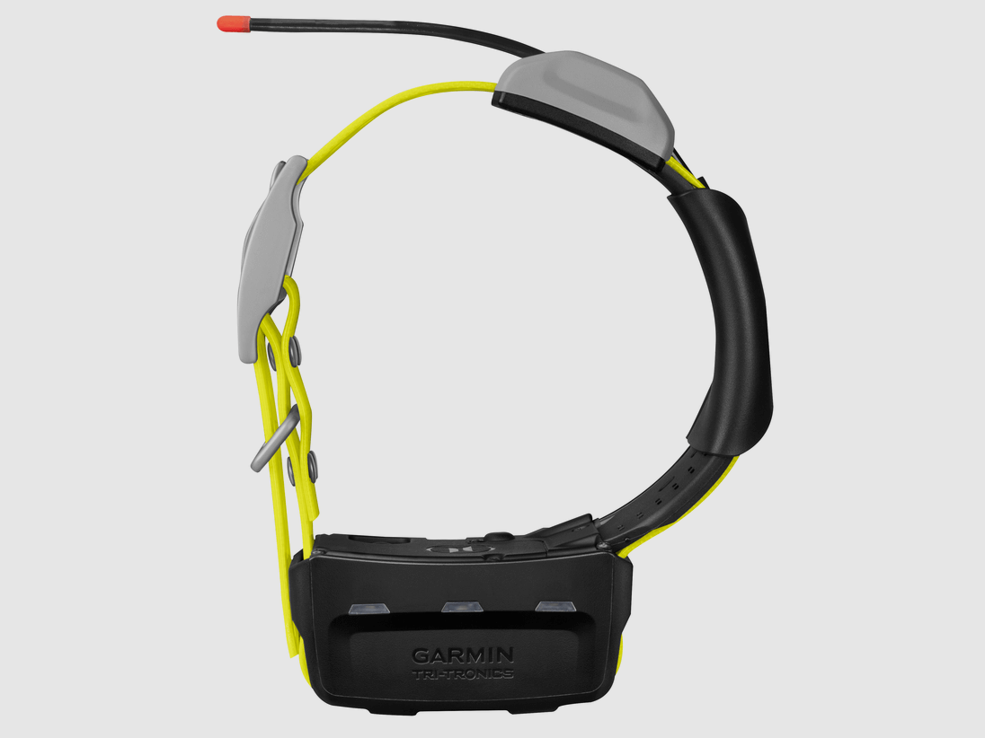 Garmin K5X Hundeortungs-Halsband