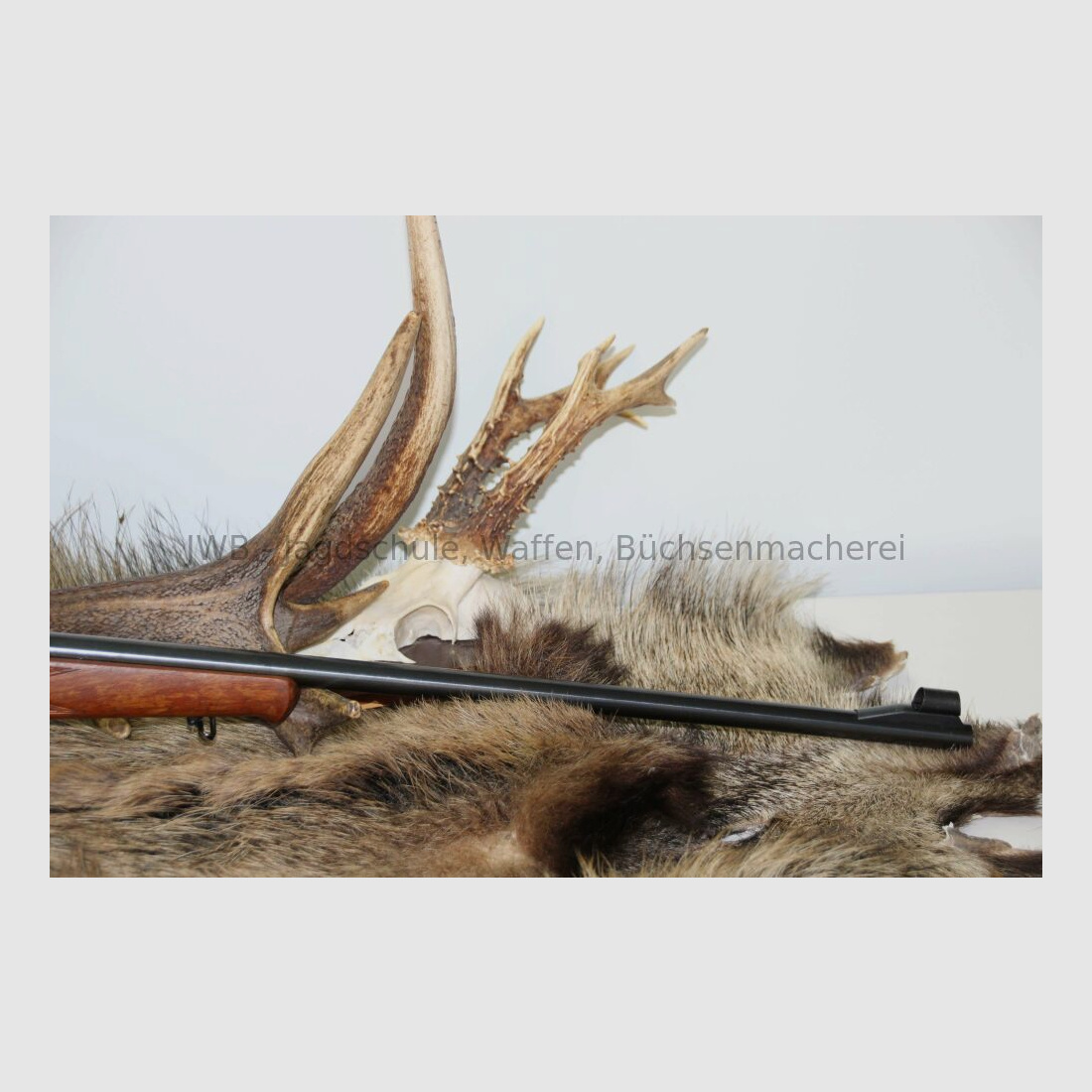 Anschütz 1516 met Tasco 3-9 x 40 .22WinMag