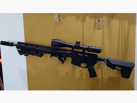 ARME CLIENT - DAR 15 SPR MATCH - .223REM + BAUER 6-24x50 U.V.M.