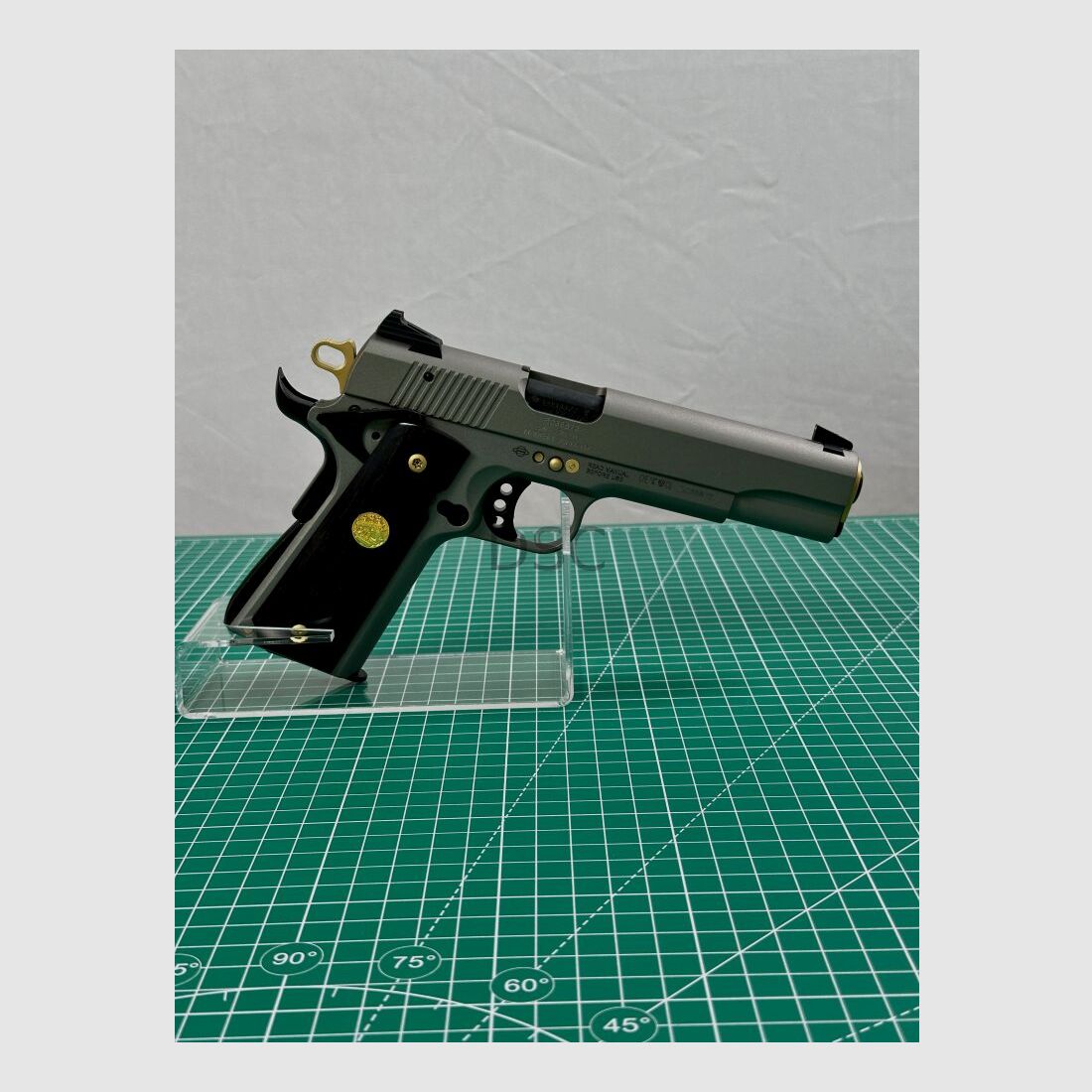 GSG GSG 1911 .22lr