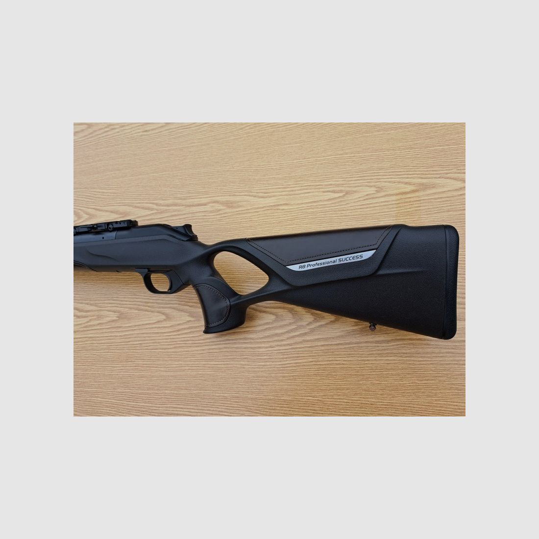 Blaser R8 Professional Success Leder .30-06