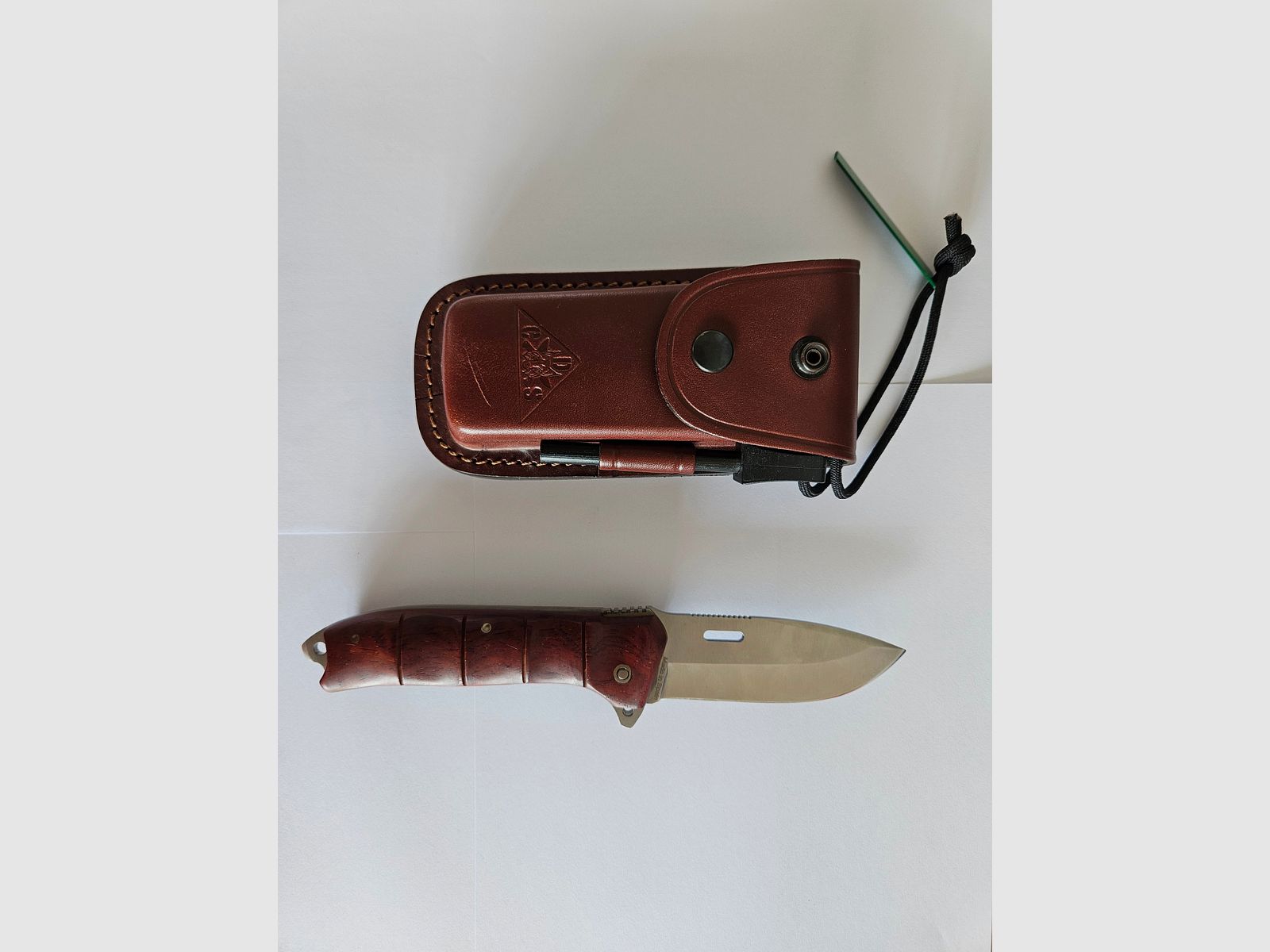 CDS Survival SV-2