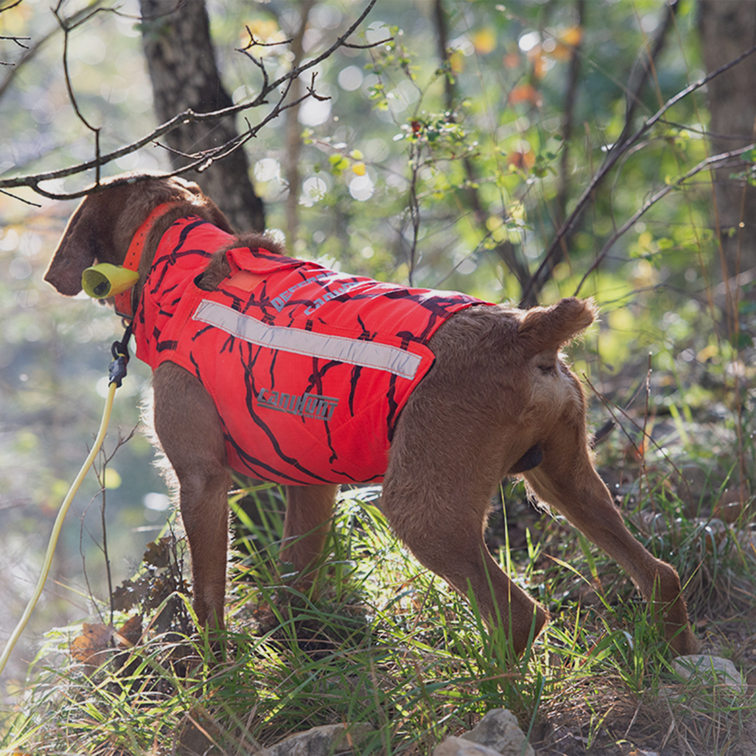 Gilet CaniHunt Protect Defender 2.0, Bild 4 von 4