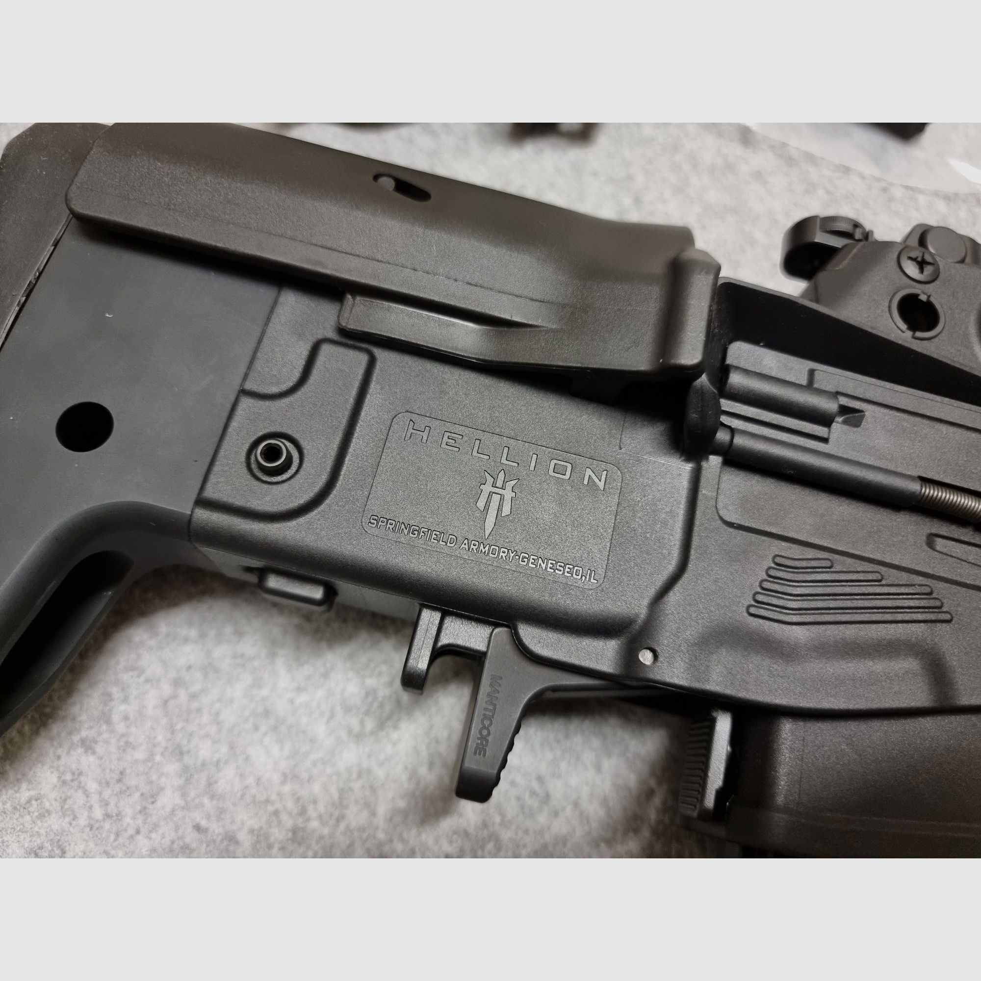 Springfield Hellion (HS VHS-2) - .223 Remington - mit einzigartigem Zubehör - optional B&T Rotex Schalldämpfer 