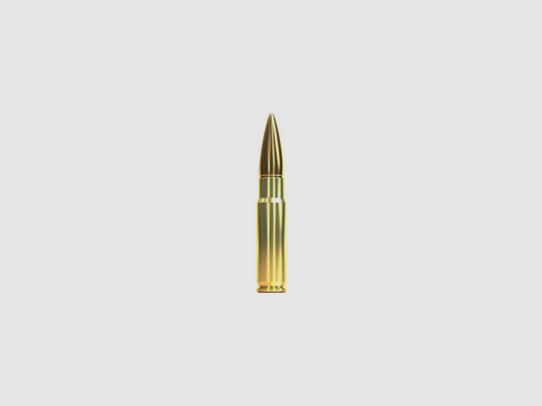 MUNITION PATRONEN SELLIER & BELLOT 300 AAC BLACKOUT SUBSONIC 200 GRAIN, Bild 2 von 2