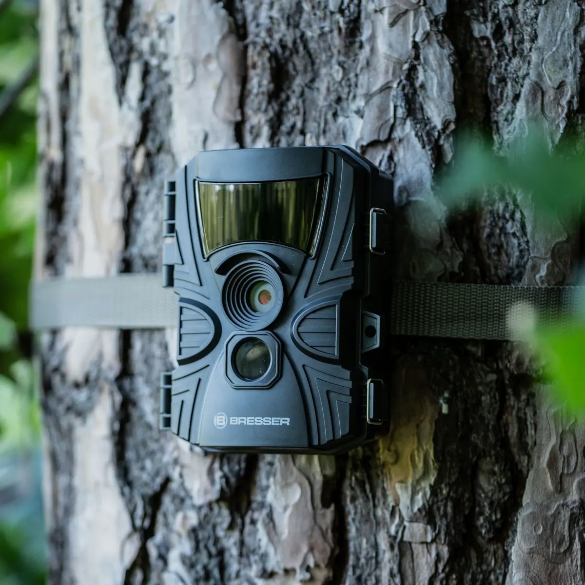 Bresser 60°-Wild-Beobachtungskamera