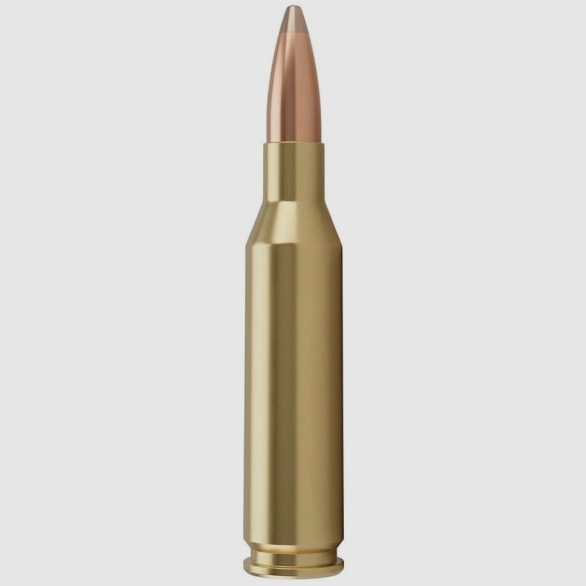 .243 Win SAKO Soft Point 113E Gamehead 100gr/6,5g, zdjęcie 2 z 2