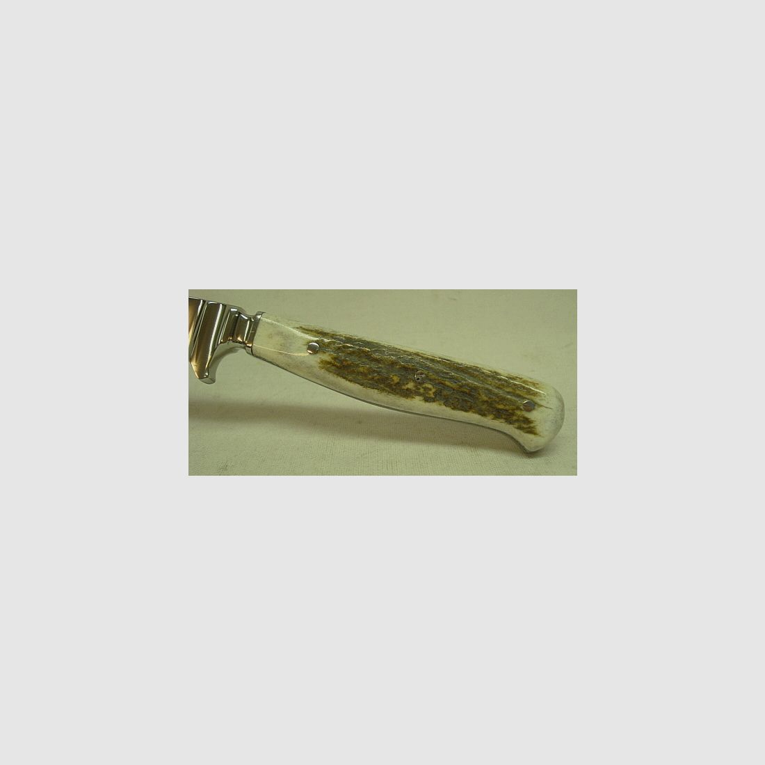 Jagdnicker Hirschhorn - 11cm Klinge, Parierstange