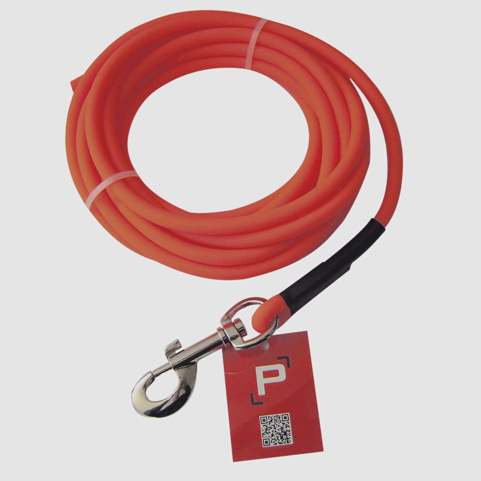 Oranger Tubus Pisteurs