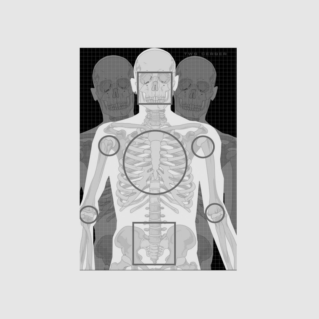 Silhouette Schießscheibe TWS CERBER 3 SKELETON, 10stk.
