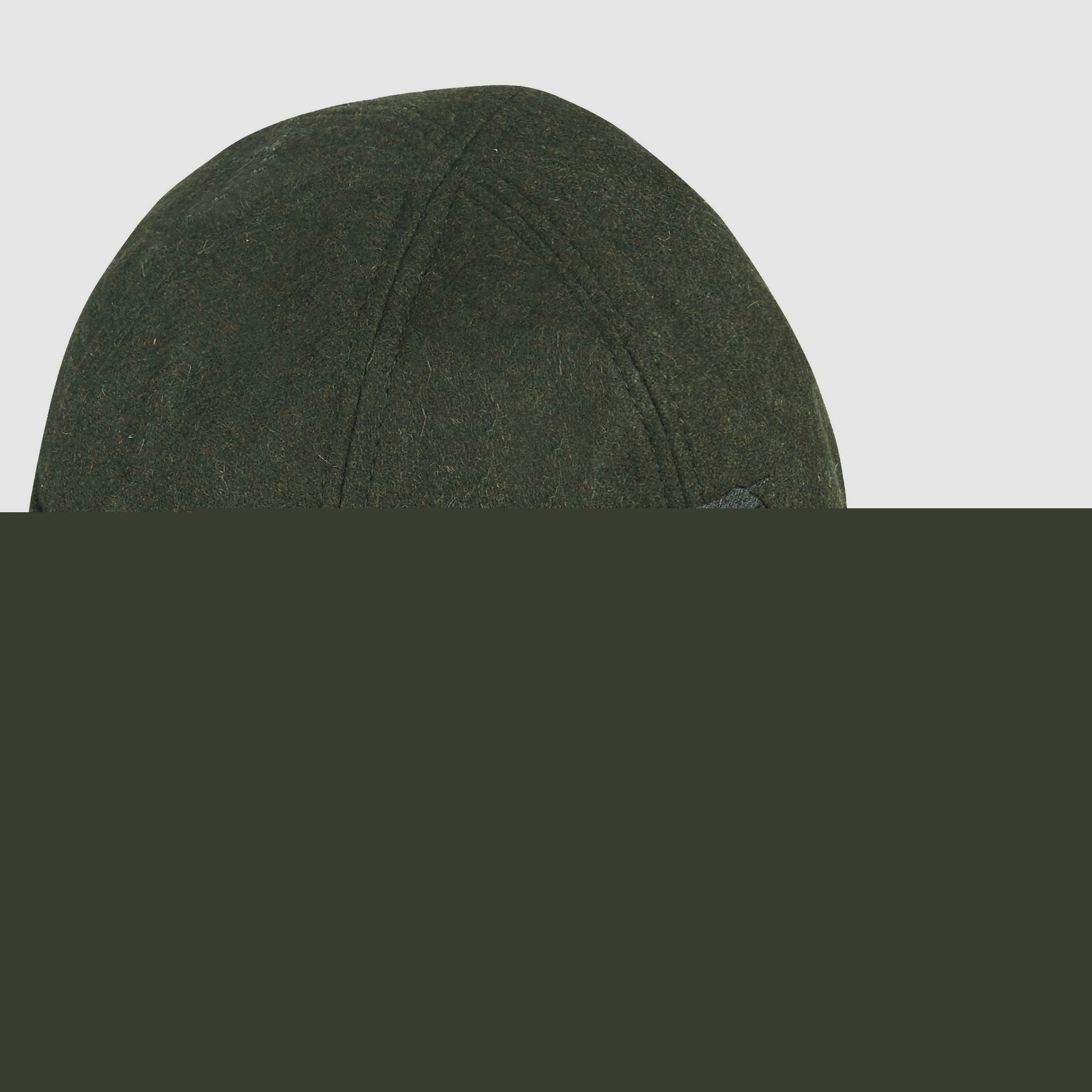 Jachthond Loden pet 2