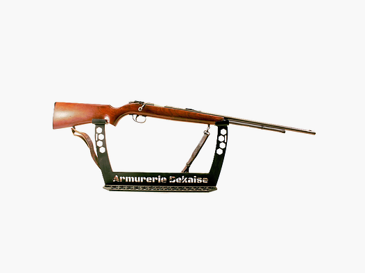 Remington 512 22lr