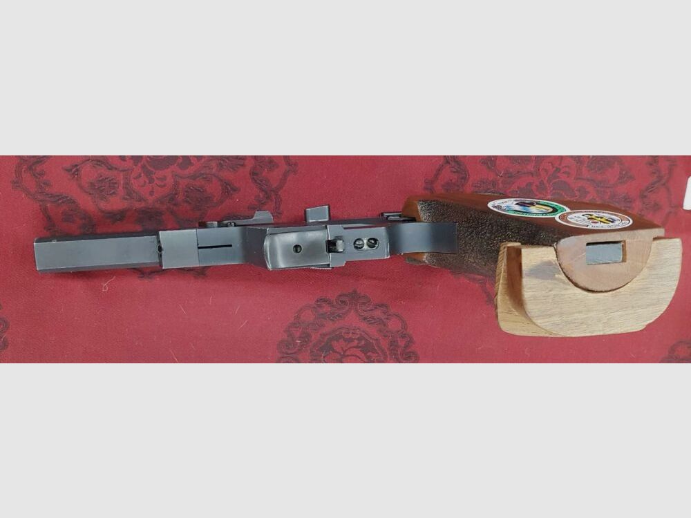 Walther GSP