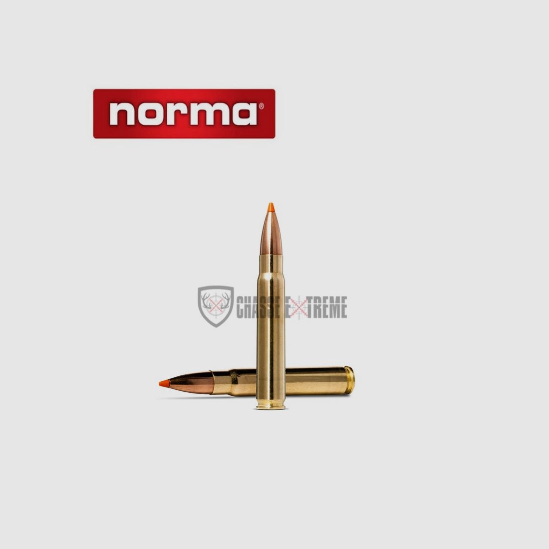 20 cartridges NORMA Cal. 9.3X74R 255gr Tipstrike