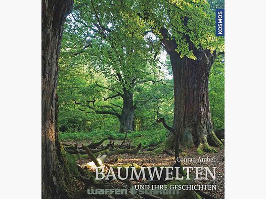 Kosmos Baumwelten Conrad Amber