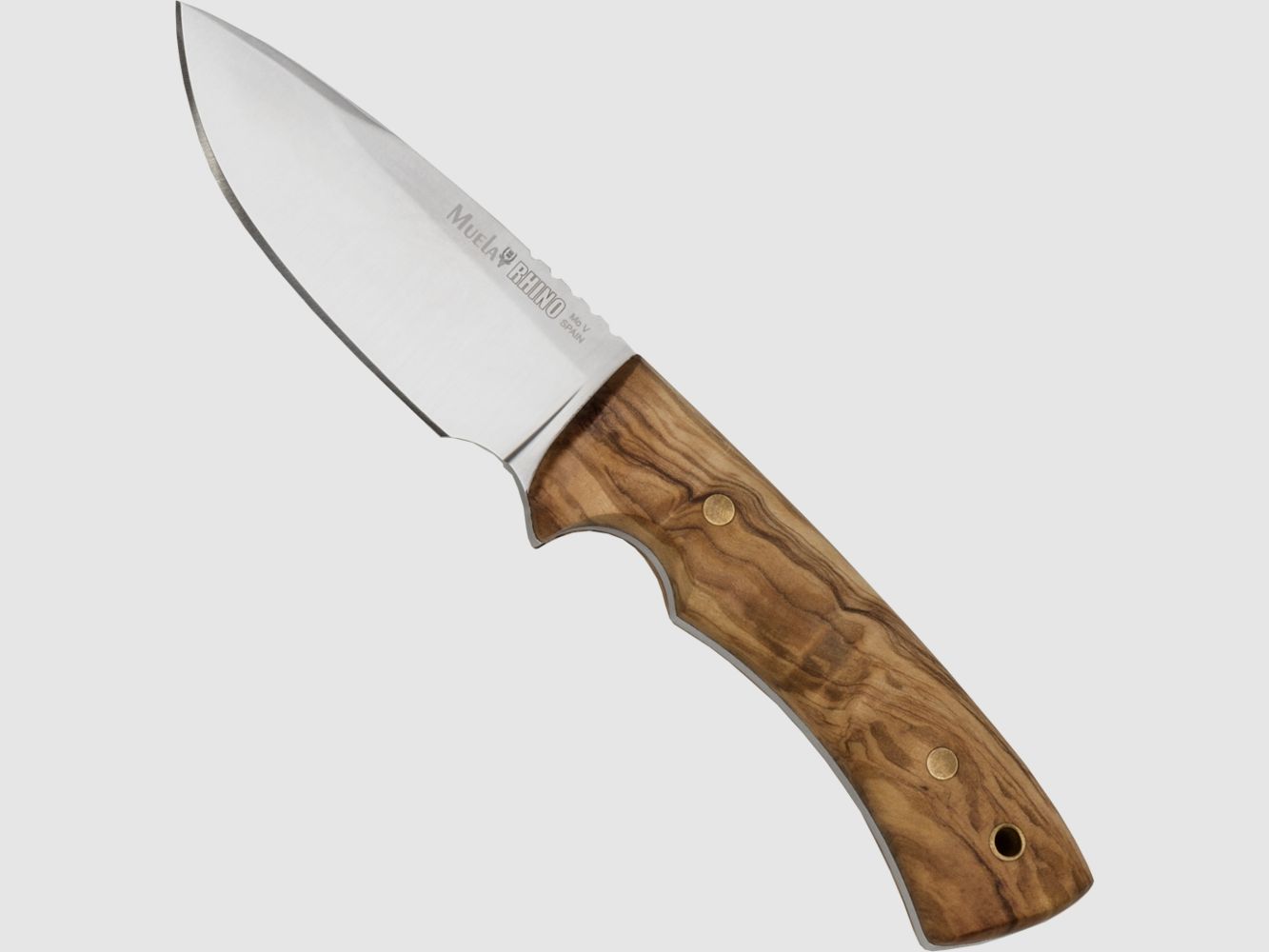 Muela Rhino Olivenholz