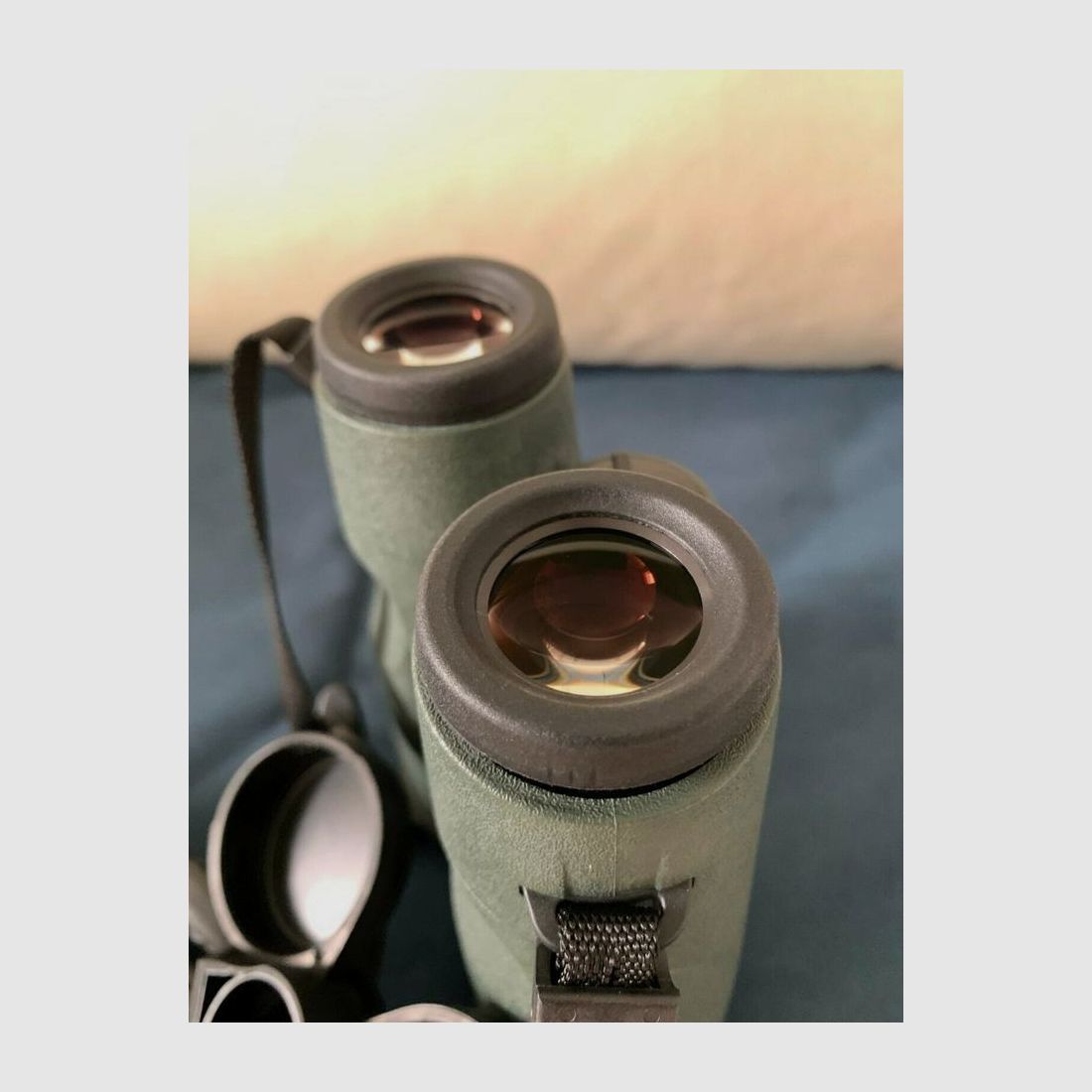 Fernglas: Swarovski EL 10x50 Swarovision