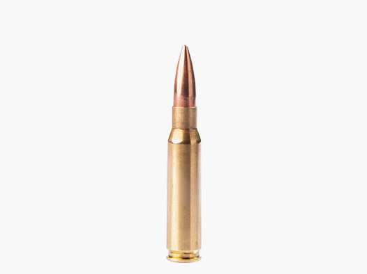 308 Win Fiocchi HPBT Sierra Match King 168 gr VE20